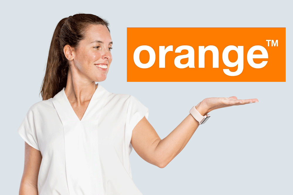 clients professionnels orange