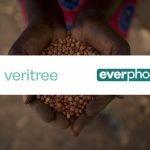 Nachhaltigkeit: Veritree pflanzt 30 Bäume für jede Mietverlängerung um 12 Monate